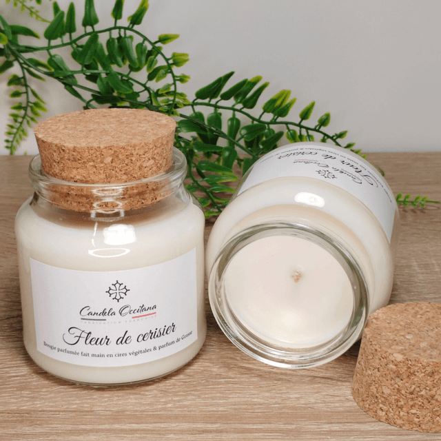 Fleur de cerisier