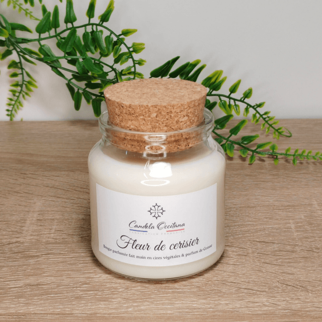 Fleur de cerisier